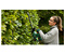 Аккумуляторный кусторез BOSCH EasyHedgeCut 18-52-13 (solo) (0600849M00)