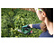 Аккумуляторные ножницы для травы BOSCH AdvancedShear 18V-10 (0600857001)