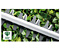 Кусторез BOSCH UniversalHedgeCut 60 (06008C0703)