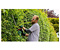 Кусторез BOSCH AdvancedHedgeCut 65 (06008C0801)