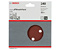 5 шлифлистов BOSCH C430 Expert for Wood + Paint 150 K240 (2608605722)